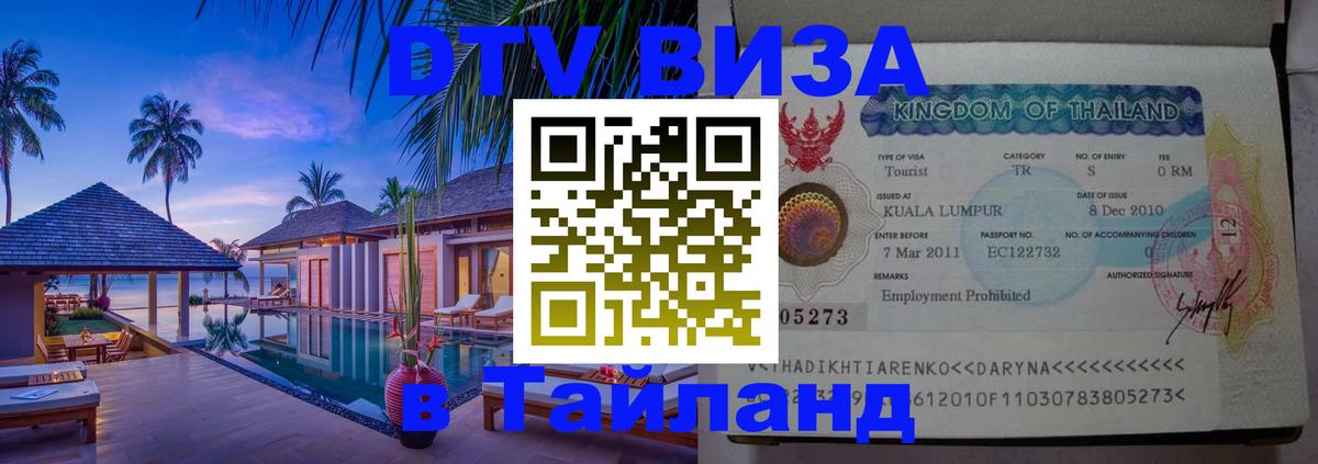 Оформление DTV визы под ключ: стоимость и тарифы, только загранпаспорт - Доха  19.11.2025 